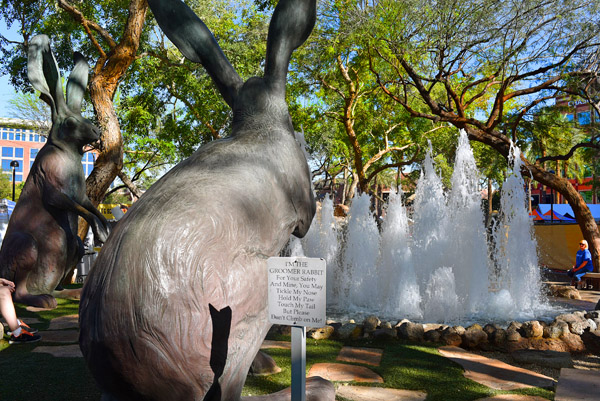 Three Blacktail Jackrabbits Downtown Tempe Az