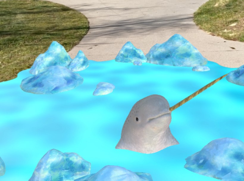 nosey-narwhal-cropped image