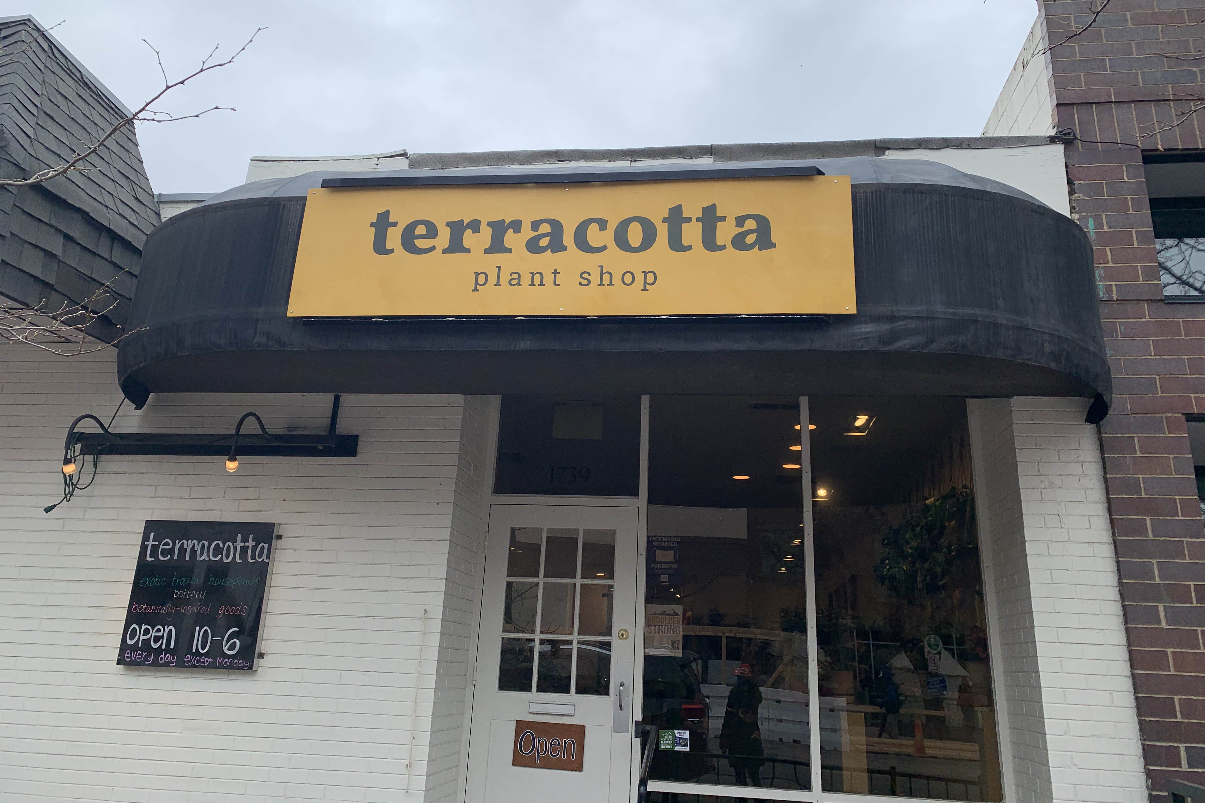 Terracotta Plant Shop