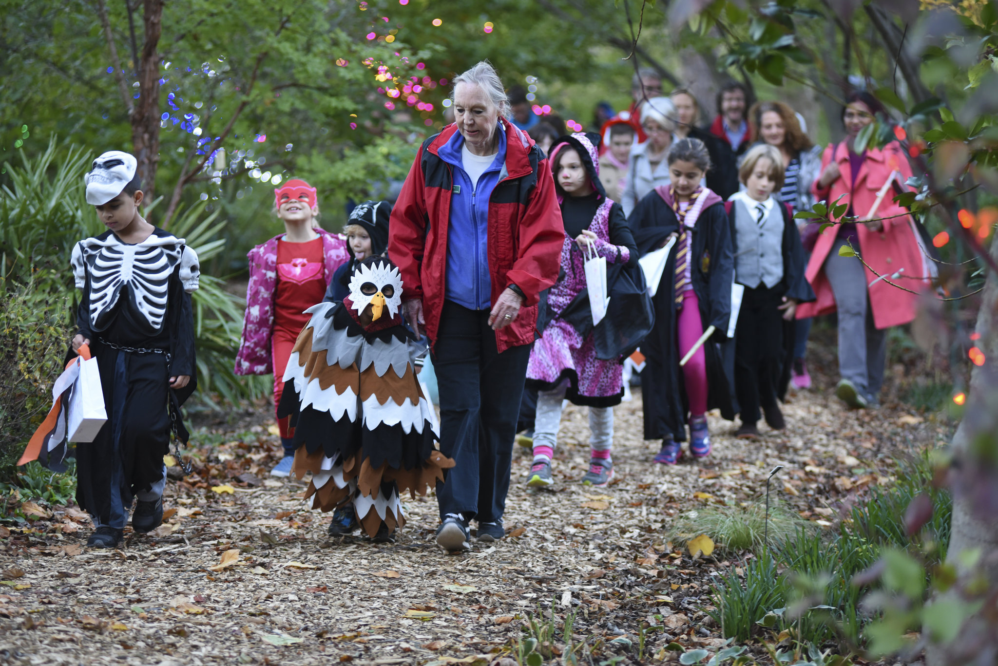 Pumpkin Panache Family Festival Wheaton MD Events Calendar