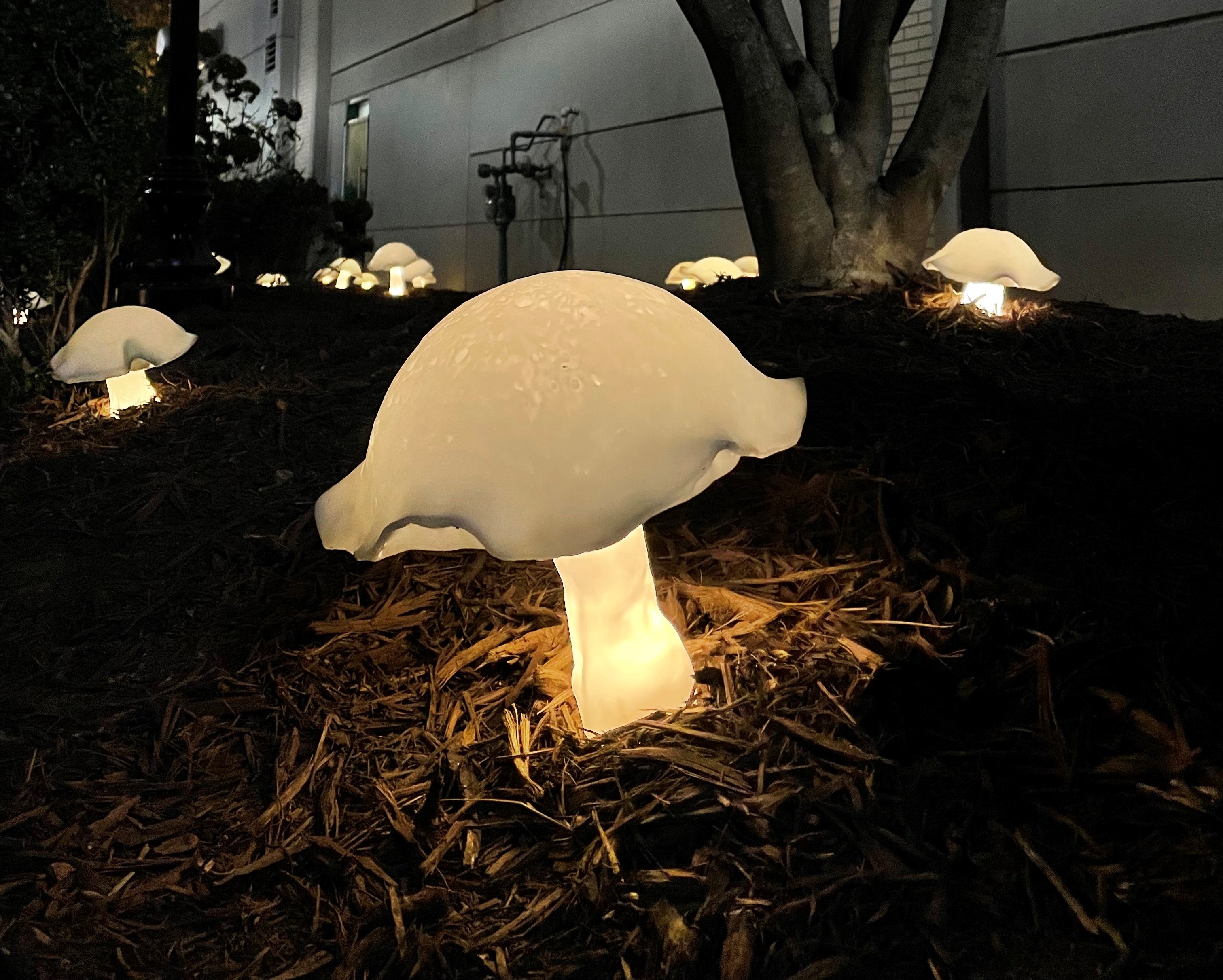 Mushrooms, III