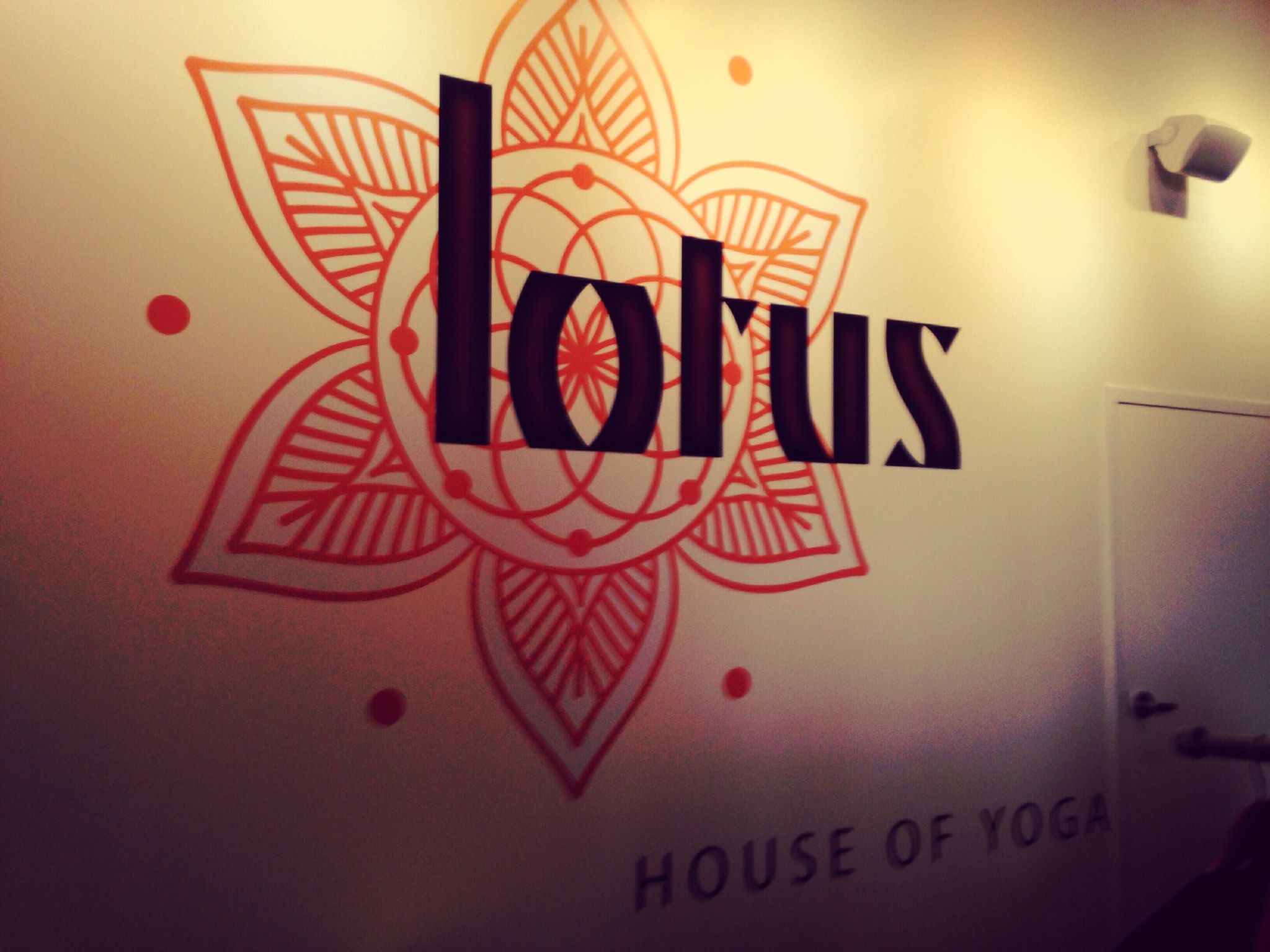 lotus house of yoga schedule