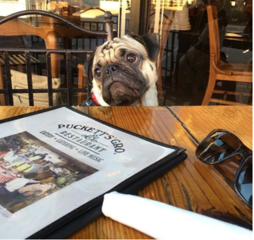 Downtown Nashville S Top Dog Friendly Patios Downtown Nashville