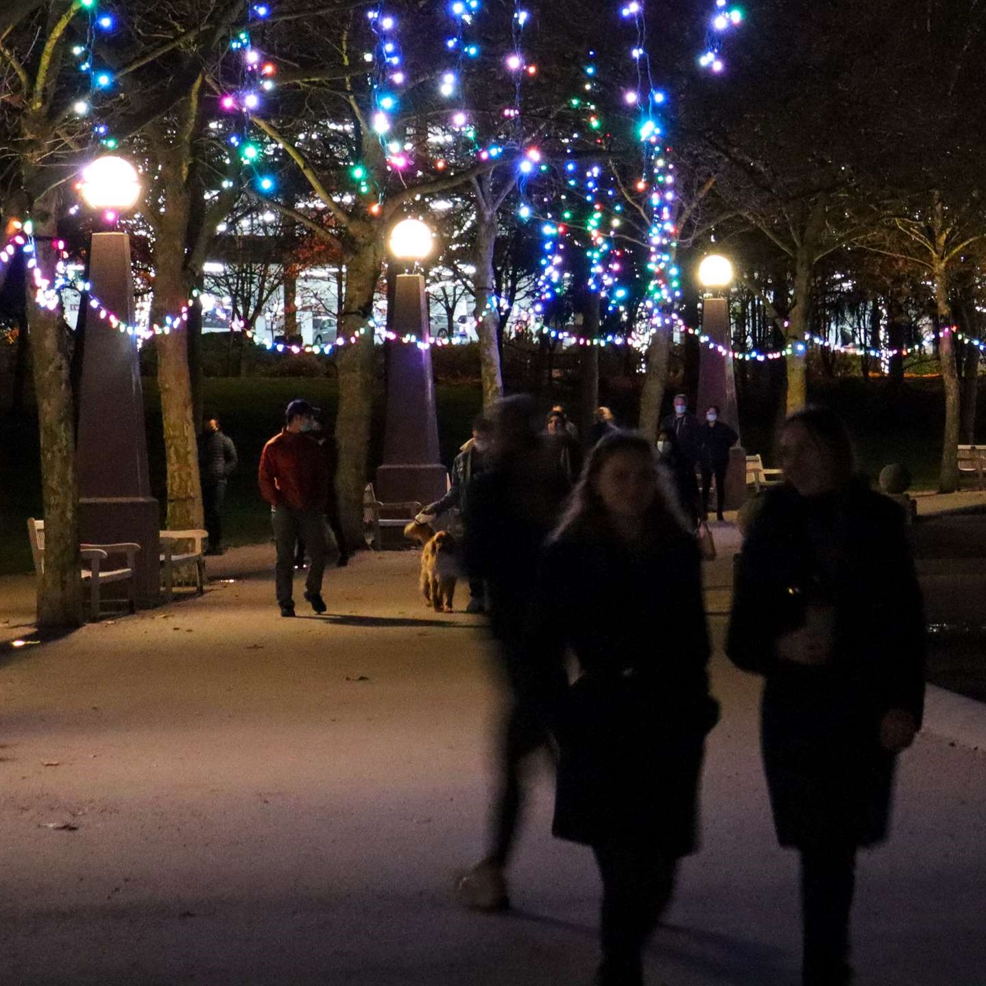 Winter Illumination at The Bravern - Bellevue Events, Happenings,  Attractions